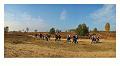 Wandeling van Monke en Judith op 21-10-2012 (39)